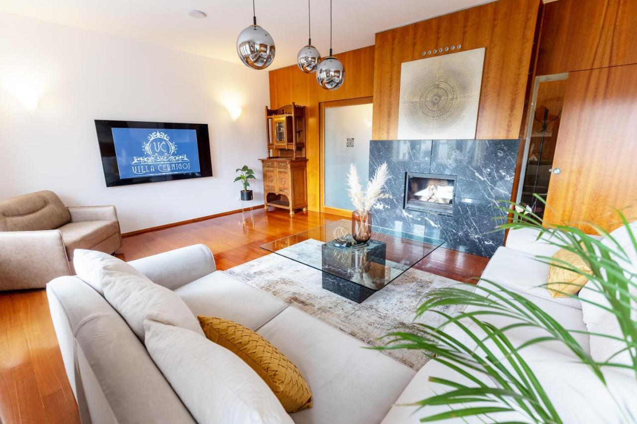 Luxury Cernigoj Apartment *